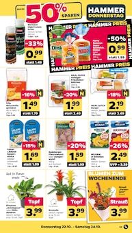 Netto mit dem Scottie Prospekt der aktuellen Woche, gültig von 19.10.2026 bis 24.10.2026 Aktueller Netto mit dem Scottie Prospekt "Günstig. Besser. Für Dich." mit 43 Seiten