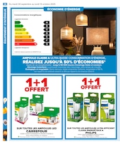 Philips Angebote im Prospekt "PRÉPAREZ L’AUTOMNE : JARDIN - BRICOLAGE" von Carrefour auf Seite 26