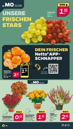 Mixer im Netto mit dem Scottie Prospekt Mixer im Netto mit dem Scottie Prospekt GĂĽnstig. Besser. FĂĽr Dich. auf S. 2