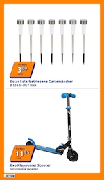 Roller im Action Prospekt "Wochenangebote" auf Seite 6