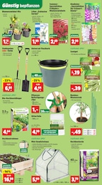 Gartenhaus Angebot im aktuellen Thomas Philipps Prospekt auf Seite 4