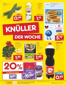 Aktueller Netto Marken-Discount Prospekt für Brake (Unterweser) mit  Seiten