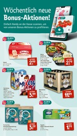 Bier im nahkauf Prospekt in Bad Homburg Aktueller nahkauf Prospekt mit Bier, "nichts liegt näher", Seite 5