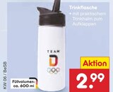 Trinkflasche Angebote bei Netto Marken-Discount Wetzlar für 2,99 €