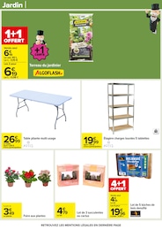 Prix et réduction Cactus dans le prospectus Carrefour en cours Offre Cactus dans le catalogue Carrefour du moment à la page 86