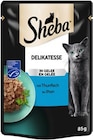 REWE Ibbenbüren Prospekt mit  im Angebot für 0,49 €