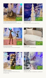 Deko-Kugel Angebote im Prospekt "SCHÖNSTER WEIHNACHTSMARKT WEIT UND BREIT" von Pflanzen Kölle auf Seite 3