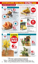 Plante Verte Angebote im Prospekt "Super U" von Super U auf Seite 20