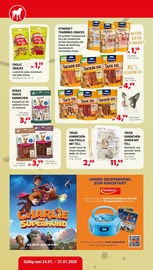 Hase im Zookauf Prospekt in Remscheid Aktueller Zookauf Prospekt mit Hase, "GUT VERSORGT INS NEUE JAHR!", Seite 4