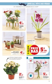 Cactus Angebote im Prospekt "Super U" von Super U auf Seite 31