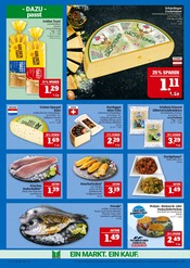 Toaster im Marktkauf Prospekt in Leipzig Aktueller Marktkauf Prospekt mit Toaster, "GANZ GROSS in kleinsten Preisen!", Seite 17