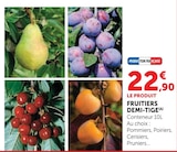 Fruitiers Demi-Tige dans le catalogue Hyper U