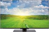 50UV6F68DA LED-TV Angebote von Toshiba bei expert Markranstädt für 299,00 €