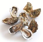 Huîtres fines de claires Marennes Oléron N°3 IGP - Supermarchés Match à Liévin Huîtres fines de claires Marennes Oléron N°3 IGP en promo chez Supermarchés Match Liévin à 7,99 €