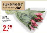 Aktuelles TULPEN Angebot bei Marktkauf in Bielefeld ab 2,99 €