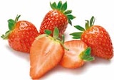 Erdbeeren im Angebot bei Netto mit dem Scottie in Neumünster Erdbeeren Angebote von GO Regio bei Netto mit dem Scottie Neumünster für 2,99 €
