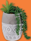 Succulente Artificielle - Urban Living en promo chez Netto Bourges à 6,99 €