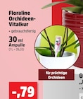 Orchideen-Vitalkur im Angebot bei Thomas Philipps in Hof Orchideen-Vitalkur Angebote von Floraline bei Thomas Philipps Hof für 0,79 €