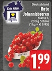 EDEKA Erkelenz - Rote Johannisbeeren Angebot im Prospekt Rote Johannisbeeren bei EDEKA im Erkelenz Prospekt für 1,99 €