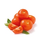 Tomaten im Netto mit dem Scottie Prospekt Tomaten im aktuellen Netto mit dem Scottie Prospekt für 1,49 €