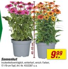 toom Baumarkt Coburg Prospekt mit  im Angebot für 9,99 €