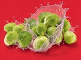 Rosenkohl im Angebot bei Netto Marken-Discount in Dresden Rosenkohl Angebote bei Netto Marken-Discount Dresden für 1,29 €
