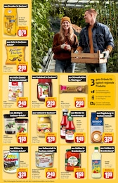 Knusperflocken Angebot & Preis im aktuellen REWE Prospekt Knusperflocken Angebot im aktuellen REWE Prospekt auf Seite 25