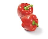 Rote Paprika, lose bei Lidl im Mannheim Prospekt für 2,49 €