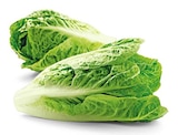 Bio Romana Salatherzen von REWE Bio für 1,49 € bei REWE im Angebot Bio Romana Salatherzen von REWE Bio im aktuellen REWE Prospekt