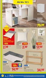 Zimmerpflanzen im Lidl Prospekt "LIDL LOHNT SICH" auf Seite 30