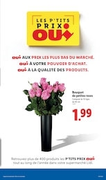 Prix et réduction Jardinage dans le prospectus Lidl en cours Offre Jardinage dans le catalogue Lidl du moment à la page 35