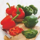 Poivron Rouge ou Vert - Super U à Boulogne-Billancourt Poivron Rouge ou Vert en promo chez Super U Boulogne-Billancourt à 2,79 €