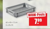bauSpezi Brackenheim - Erntekiste Angebot im Prospekt Erntekiste bei bauSpezi im Brackenheim Prospekt für 7,99 €