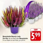 EDEKA Seelbach Prospekt mit  im Angebot für 5,99 €