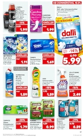 Aktueller Kaufland Prospekt mit Hundefutter, "Aktuelle Angebote", Seite 45