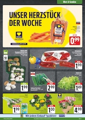 Gemüse im EDEKA Prospekt in Erlangen Aktueller EDEKA Prospekt mit Gemüse, "Wir lieben Lebensmittel!", Seite 9