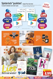 Rankgitter Angebot im aktuellen E center Prospekt auf Seite 22