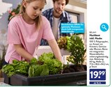 Aktuelle Kühlschrank Angebote bei ALDI SÜD in Germering Aktuelles Hochbeet inkl. Haube Angebot bei ALDI SÜD in Germering ab 19,99 €