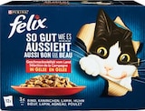 Katzennahrung Mutipack im Angebot bei Netto Marken-Discount in Bonn Katzennahrung Mutipack Angebote von Felix bei Netto Marken-Discount Bonn für 4,59 €