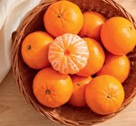 Netto Marken-Discount Wustermark - Mandarinen Angebot im Prospekt Mandarinen bei Netto Marken-Discount im Wustermark Prospekt für 1,99 €
