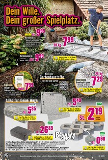 Hortensie im Hornbach Prospekt "Endlich Frühling" mit 29 Seiten (Paderborn)