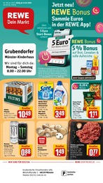 REWE Prospekt für Münster mit 28 Seiten REWE Prospekt "Dein Markt" für Münster, 28 Seiten, 13.01.2025 - 18.01.2025