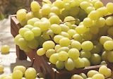 Raisin Blanc en promo chez Supeco Raisin Blanc dans le catalogue Supeco