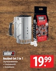 Anzünd-Set 3 in 1 Angebote von Weber bei famila Nordost Neustadt für 19,99 €