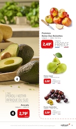 Offre Avocat dans le catalogue Colruyt du moment à la page 5