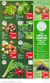 Bio im Kaufland Prospekt in Stuttgart Aktueller Kaufland Prospekt mit Bio, "Aktuelle Angebote", Seite 3