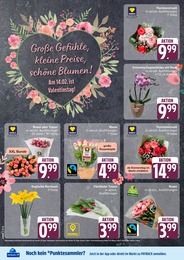 EDEKA Blumen im Prospekt 