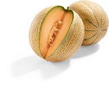 Melone im Netto Marken-Discount Prospekt Gwanipa Melone im aktuellen Netto Marken-Discount Prospekt für 1,69 €