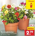Zauberglöckchen im Angebot bei Netto Marken-Discount in Gütersloh Zauberglöckchen Angebote bei Netto Marken-Discount Gütersloh für 2,79 €