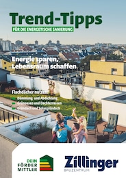 Bauzentrum Zillinger Prospekt für Hofkirchen: "Trend-Tipps FÜR DIE ENERGETISCHE SANIERUNG", 11 Seiten, 18.07.2025 - 27.07.2025